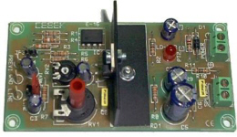 Cebek 5W Amplifier with Pre-Amp