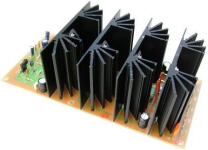 Cebek 180W Mono Amplifier