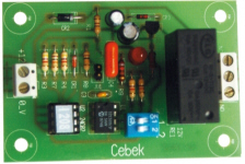 Cebek Weekly/Monthly Timer
