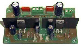 Cebek 5W Stereo Amplifier
