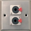 2 x 6.35mm Outlet Plate
