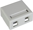 Twin Surface Mounting Box