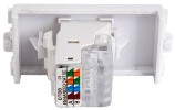 CAT5e outlet module (Rear)