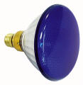 PAR 38 Lamp Blue
